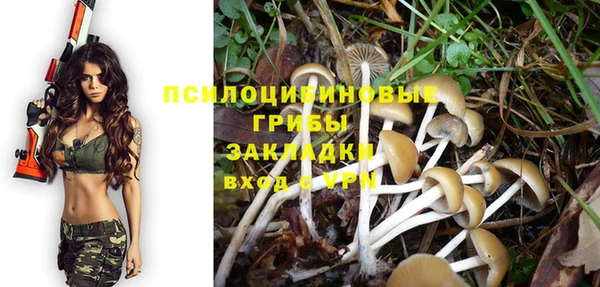 прущая мука Дмитровск