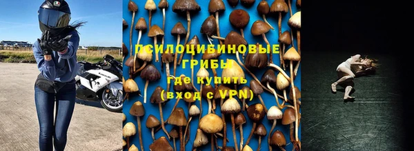 прущая мука Дмитровск