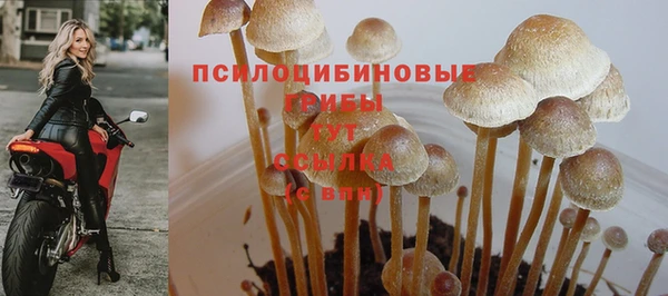 прущая мука Дмитровск