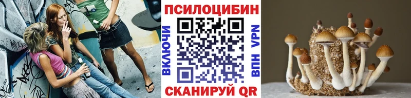 Псилоцибиновые грибы Magic Shrooms  Купить где  Кувшиново 